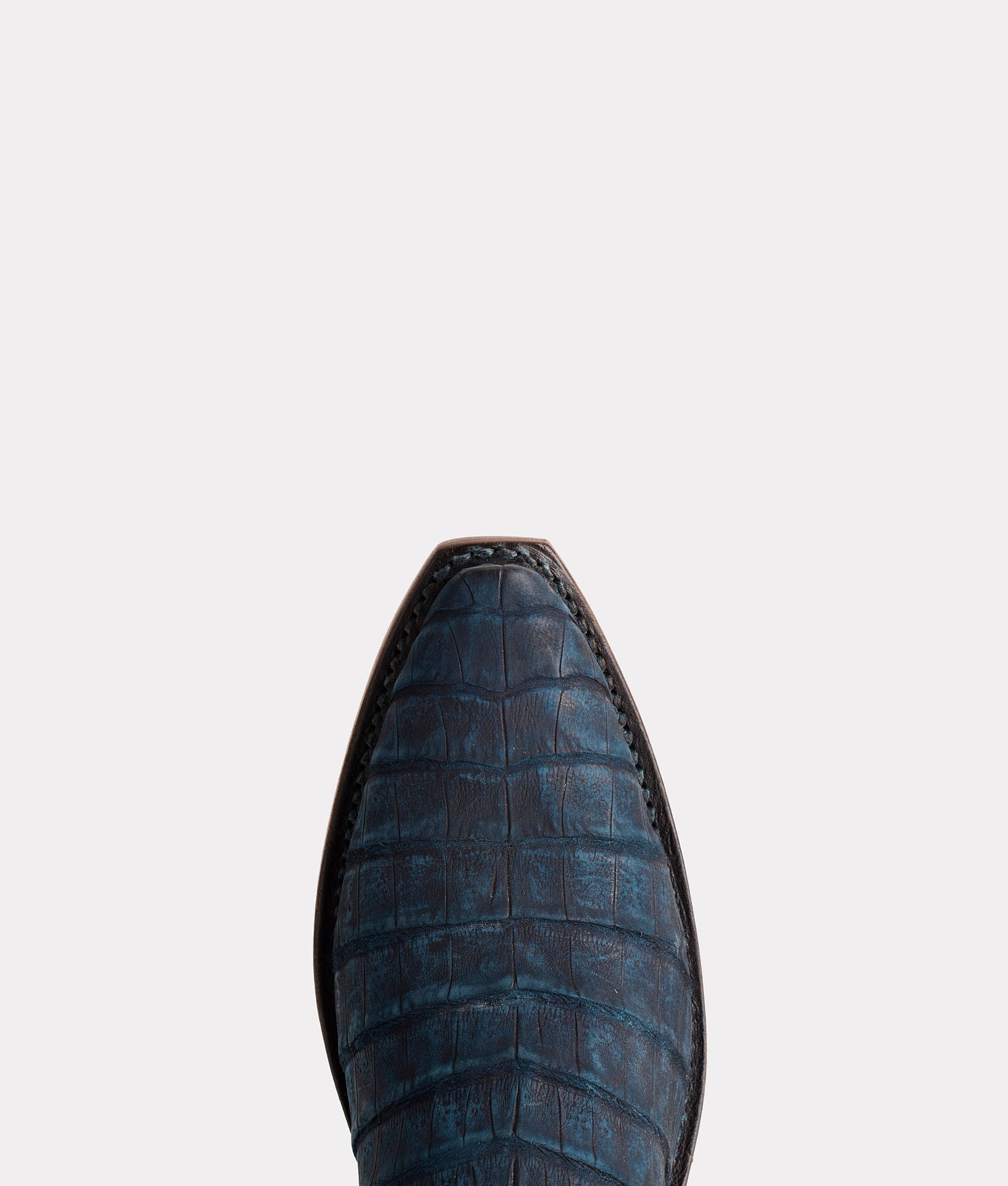 Priscilla Exotic :: Navy - Image 8