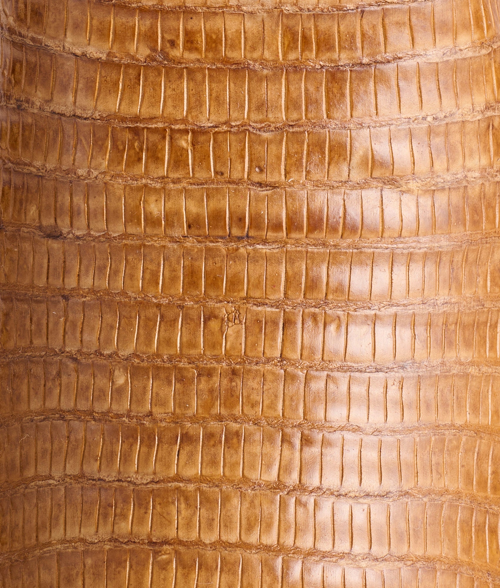 Tilly Exotic :: Tan - Image 10