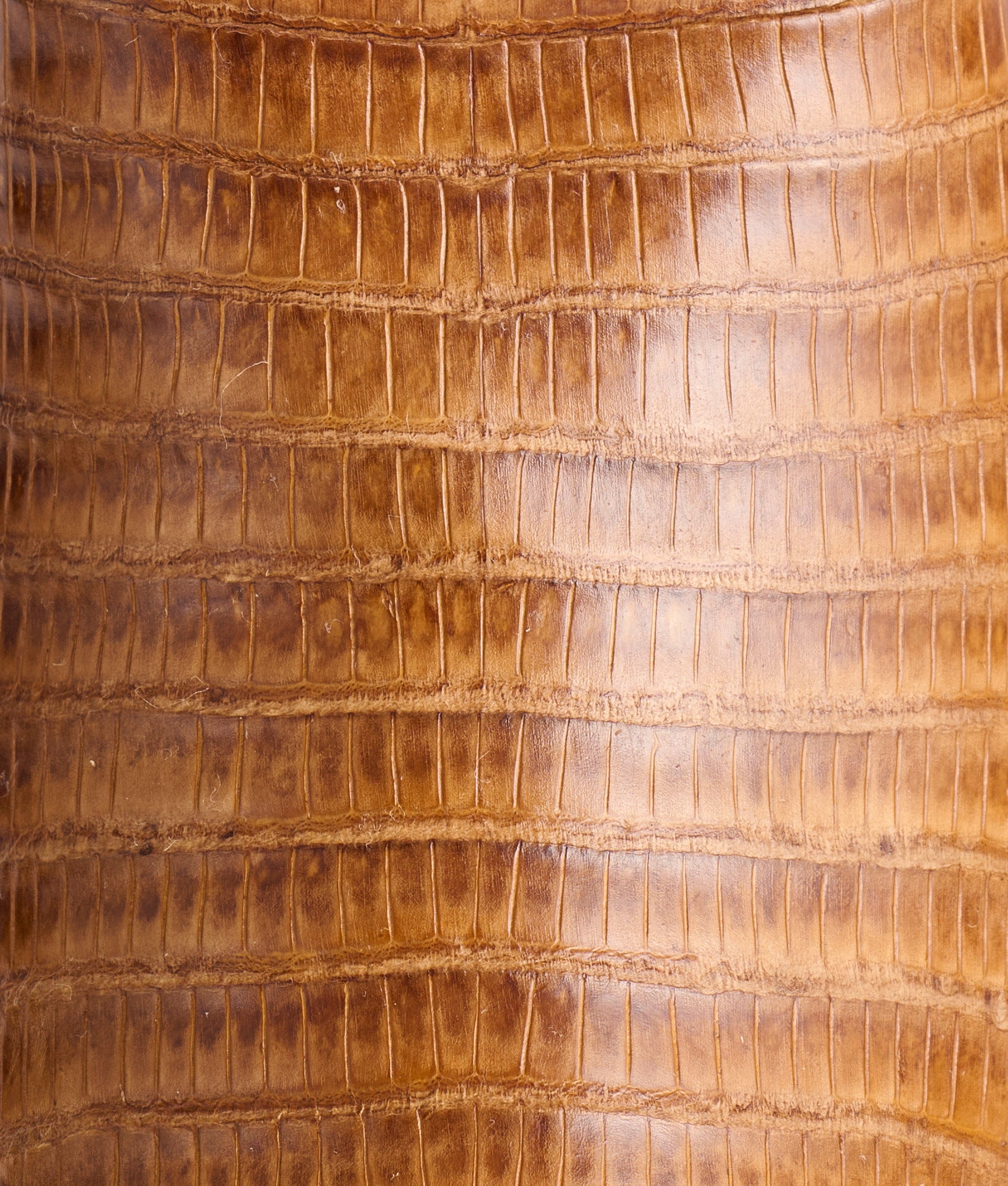 Dale Exotic :: Tan - Image 10