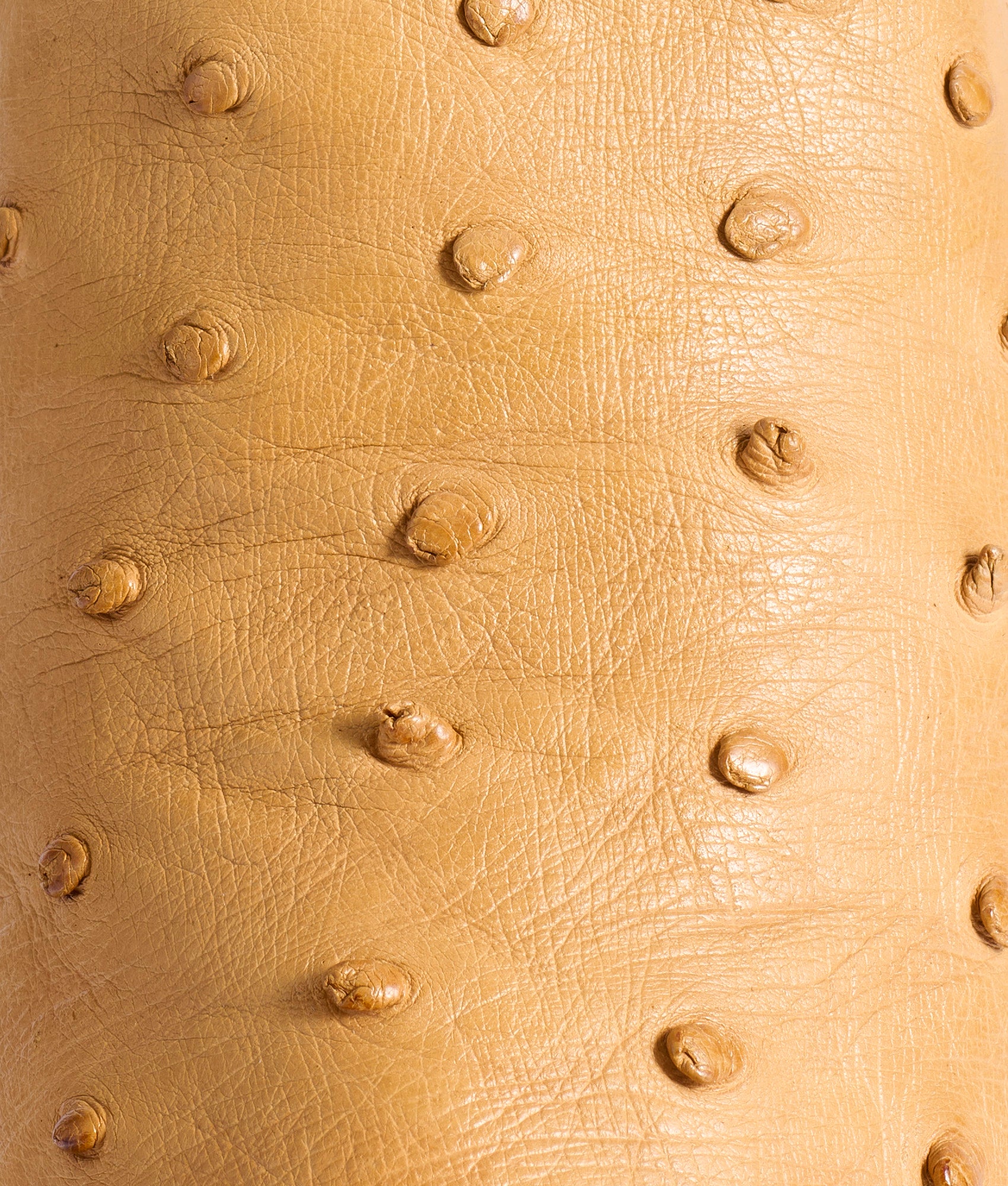 Priscilla Exotic :: Saddle Tan - Image 8
