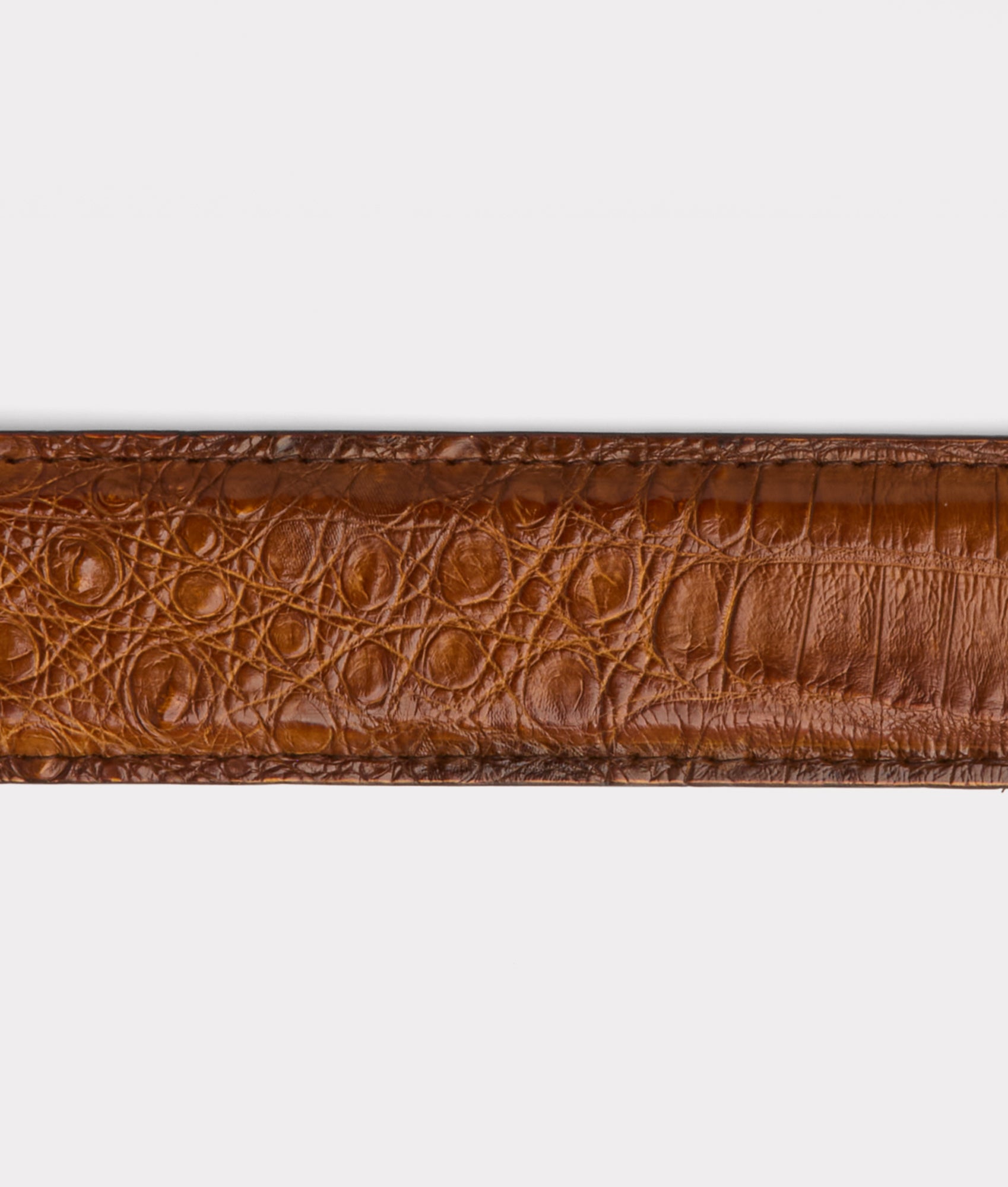 Buckaroo Belt :: Cognac - Image 4