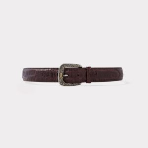 Buster Belt :: Chocolate