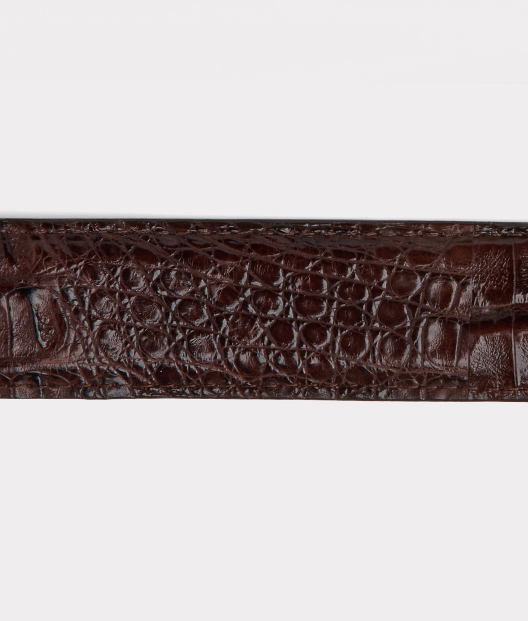 Buster Belt :: Chocolate - Image 4