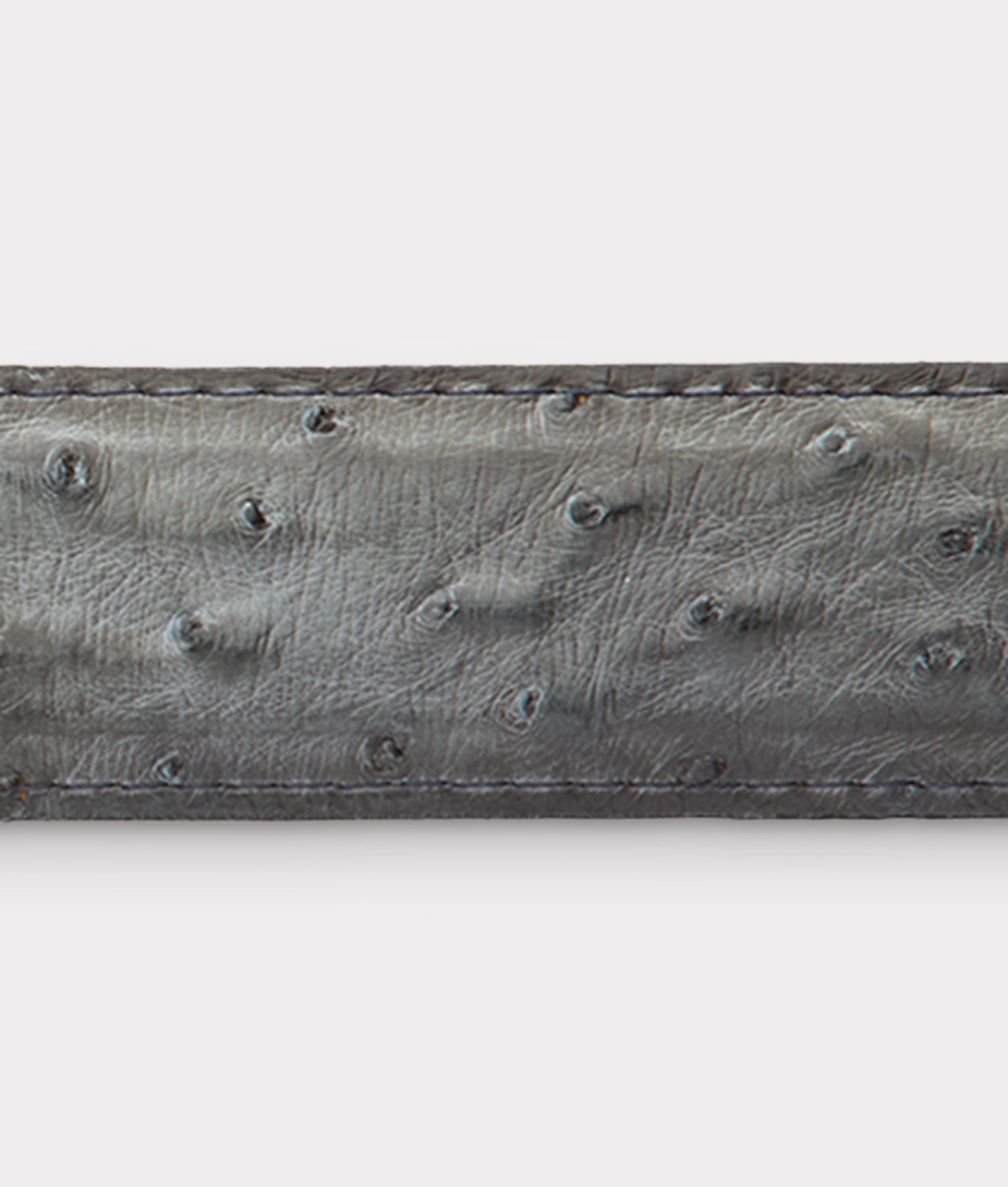Full Quill Ostrich :: Anthracite Grey - Image 5
