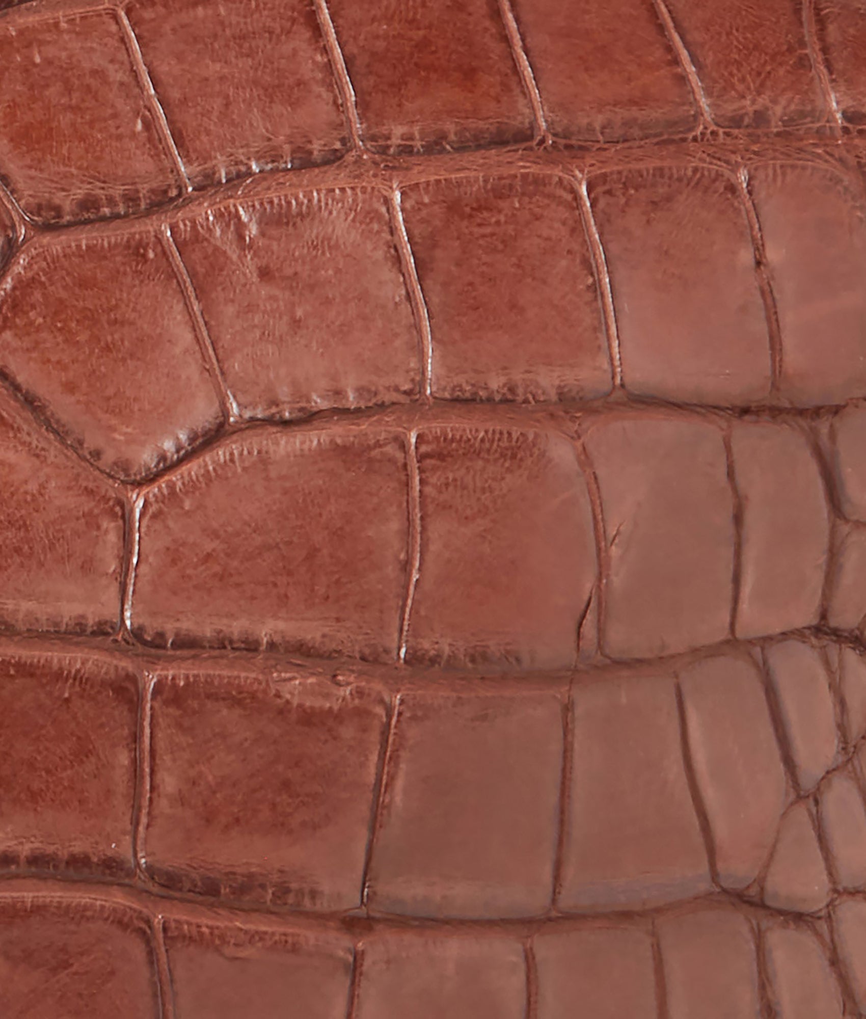 Giant Gator Duffle – Large :: Chocolate - Image 9
