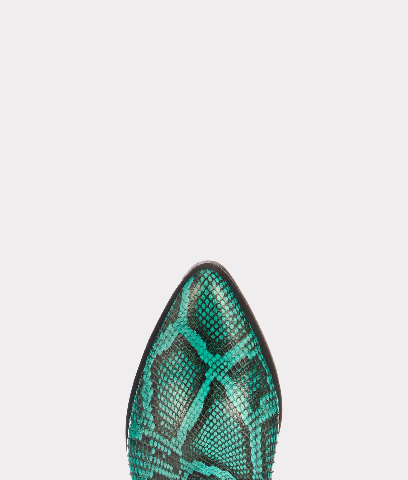 Alma Exotic :: Turquoise - Image 6