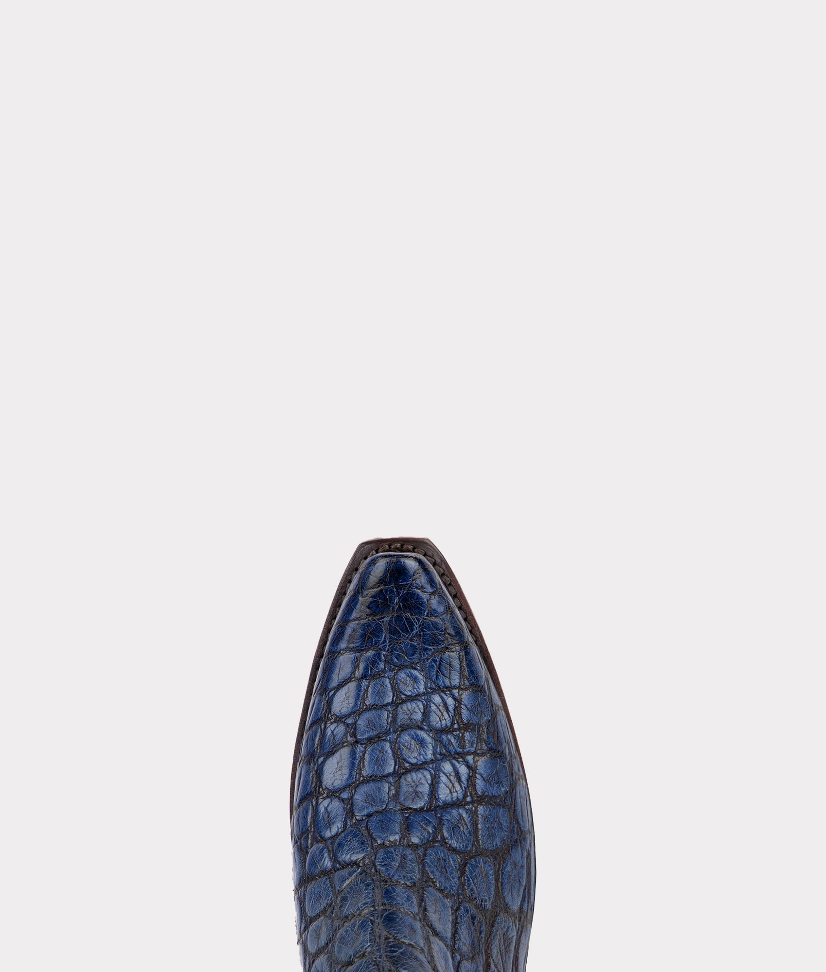 Women's Bluebonnet 140th Anniversary Boot :: Cavalry Blue - Image 5