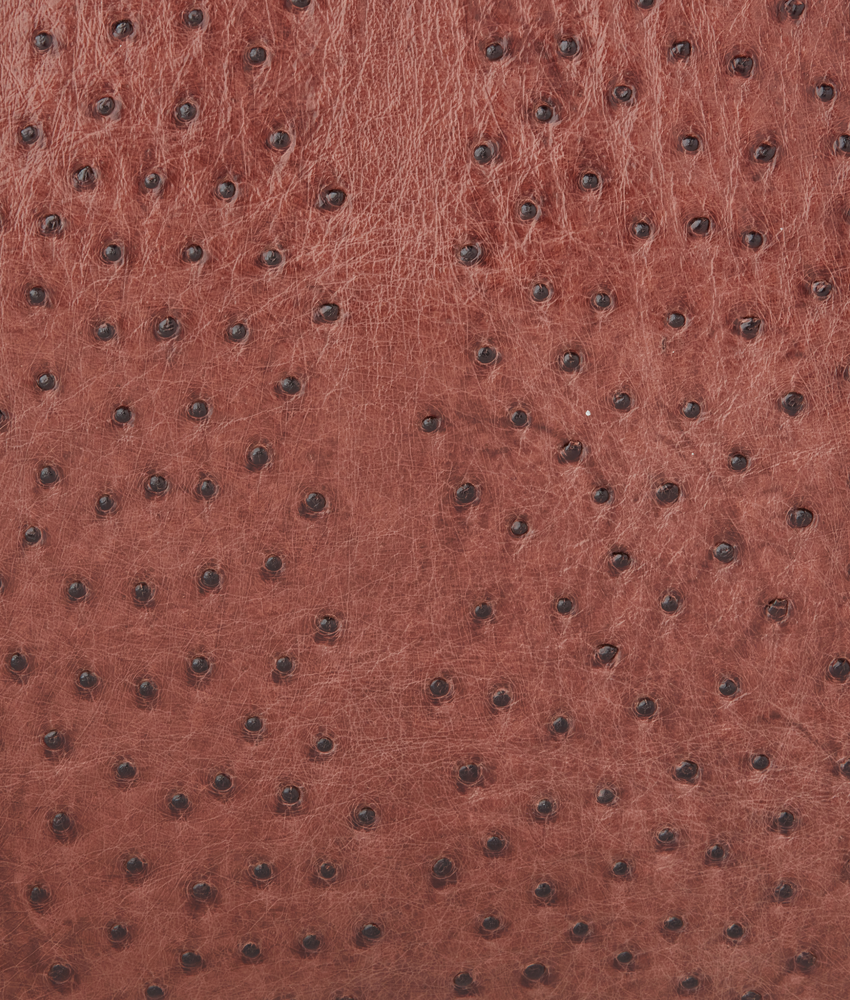 Ostrich Duffle - Large :: Chocolate - Image 7