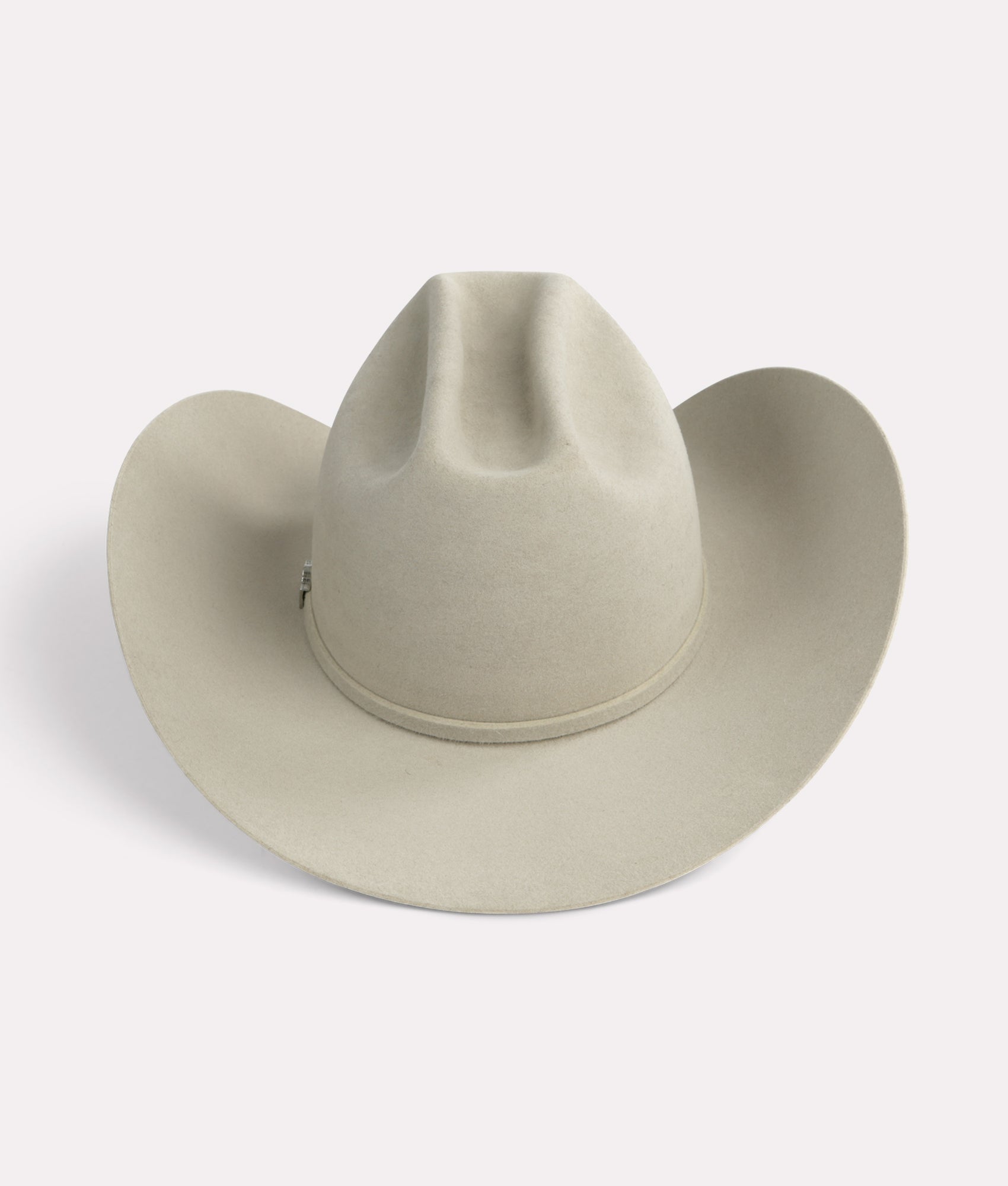 The Alamo :: Silverbelly - Image 5