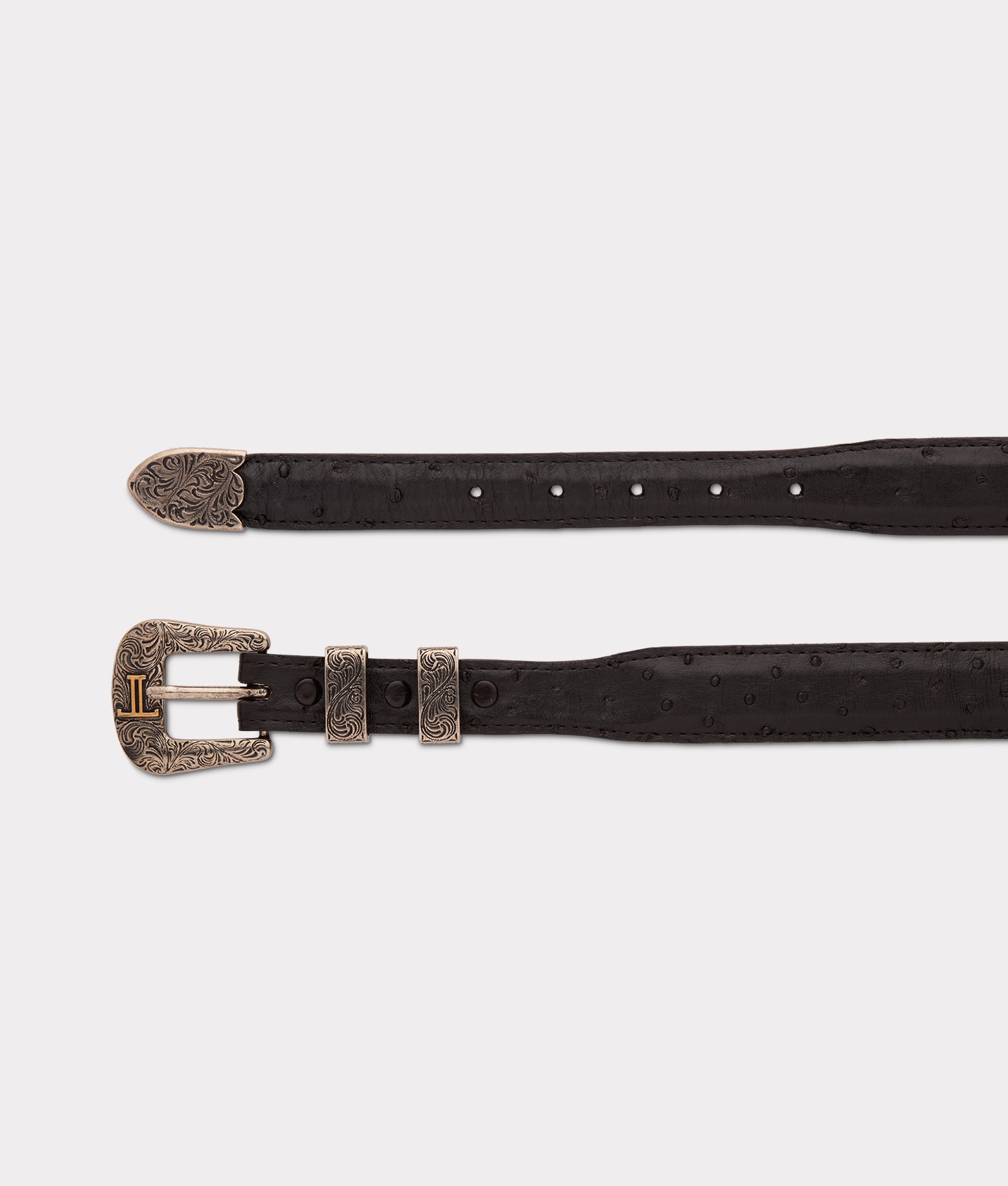 Full Quill Ostrich Tapered :: Black - Image 2