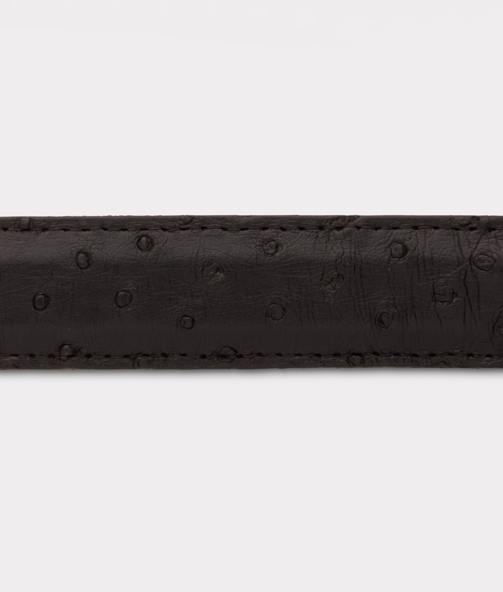 Full Quill Ostrich Tapered :: Black - Image 4