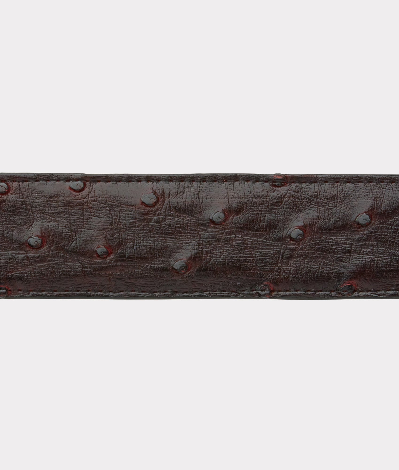 Full Quill Ostrich :: Black Cherry - Image 6