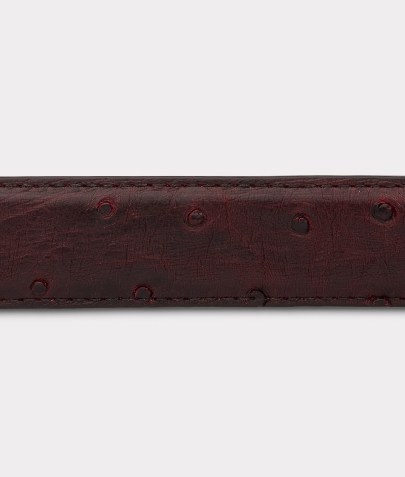 Full Quill Ostrich Tapered :: Black Cherry - Image 6