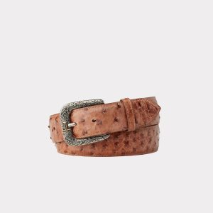 Full Quill Ostrich :: Barnwood