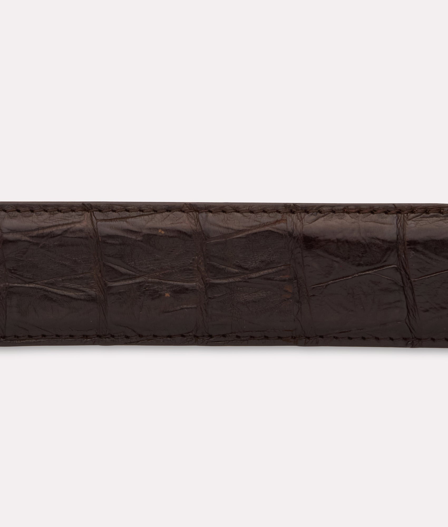 Ultra Belly Caiman :: Chocolate - Image 4